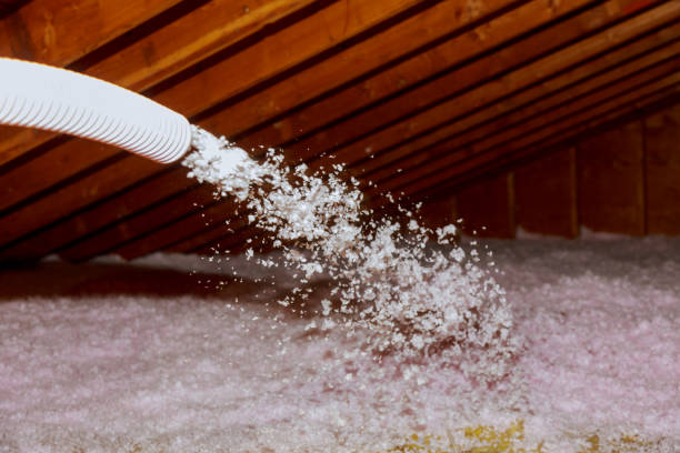 Insulation Replacement Services in Latta, SC