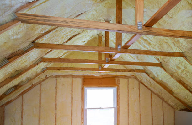 Best Insulation Replacement Services  in Latta, SC