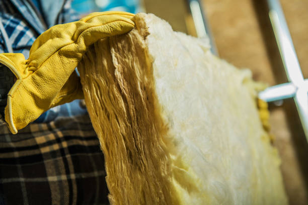 Best Insulation Repair Services  in Latta, SC