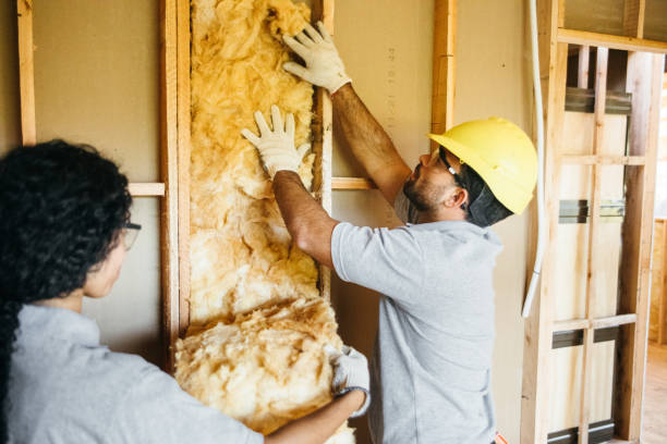 Professional Insulation Contractor in Latta, SC