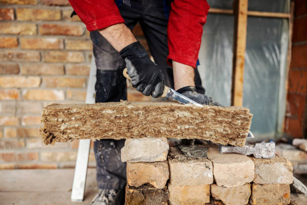 Best Spray Foam Insulation  in Latta, SC