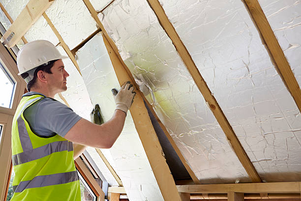 Best Insulation Contractors for Homes  in Latta, SC